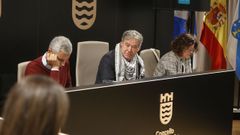 El alcalde, Miguel Anxo Fernndez Lores, presidi el pleno ataviado con un pauelo palestino