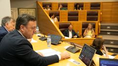 Valentín González Formoso presidió el pleno.