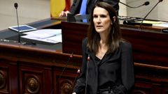 La primera ministra Sophie Wilmes, en su comparecencia en el Congreso belga