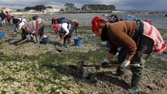�As ameixas non son moras�: el alegato de las mariscadoras de Arousa