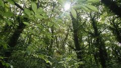 Una comarca de coraz�n verde: as� es la Costa da Morte