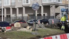 Tala de rboles en la avenida de Arteixo