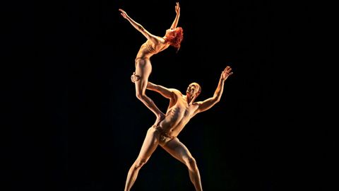 Pilobolus