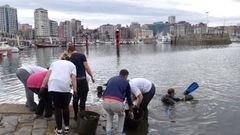Un esfuerzo ciudadano para limpiar el Puerto Deportivo