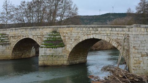 Puente sobre el r�o Carri�n en el municipio de Husillos