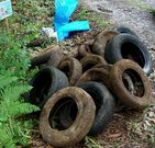 En los vertederos retiraron una gran cantidad de neum�ticos.