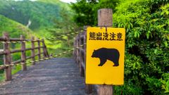 Un cartel reza  advertencia oso salvaje  en japon�s