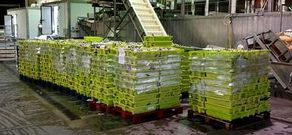 El cargamento de jurel proced�a, al parecer, de un pesquero de Portos�n que lo descarg� en Corcubi�n.