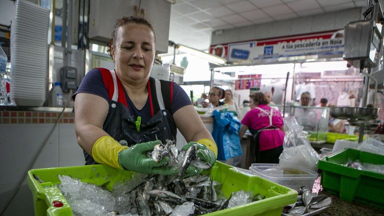 Alta demanda de sardina para san Xo�n