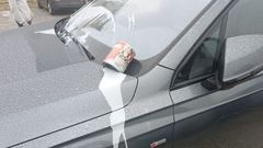 Da�os en el coche aparcado en Perl�o