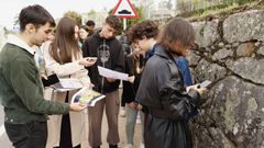 Los alumnos localizaron y documentaron diferentes líquenes. 