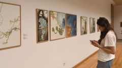 <span lang= gl >A exposicin de Mauro Leivas no Museo Provincial, en imaxes</span>