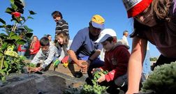 <span lang= es-es >El medio ambiente</span>. En colaboraci�n con Voz Natura han recuperado el monte de O Castro y han construido un auditorio al aire libre. Tambi�n recogen aceites usados, entre otras iniciativas. 