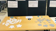 La exposici�n se exhibe en el vest�bulo del IES S�nchez Cant�n de Pontevedra