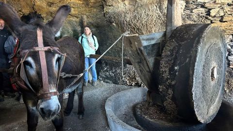 Quiroga celebra la Mostra do Aceite