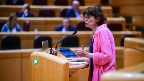 La senadora del BNG, Carme da Silva, propone al Gobierno convertir el faro de Ons en un museo