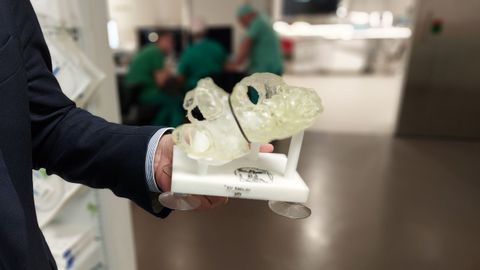 Un corazón fabricado en silicona con el que los cardiólogos entrenan