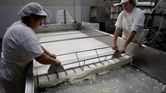 Proceso de corte del queso antes de pasarlo a los moldes.