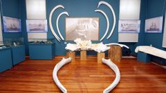 Foto de archivo de una de las salas�del Museo Provincial do Mar