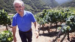Jos� Mouri�o, nunha zona de vi�edo en pendente pr�xima � ribeira de Bex�n