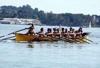 En Amegrove consideran que no hay tiempo para adaptarse a una posible trainera prestada.