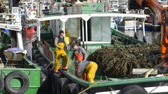 FLOTA PESQUERA AMARRADA POR EL TEMPORAL_ PUERTO DE COMBARRO_CON_LOGOS (WEB)