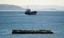 Imagen de una de las bateas en las que se depura el marisco de Ferrol.