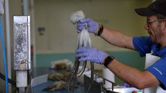 Personal de la rula de Ribeira, en la clasificaci�n del pulpo