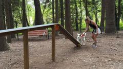 El parque canino de O Carballi�o cuenta con �rea con ejercicios para mascotas.