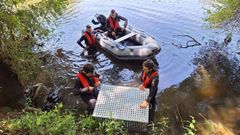 Los tcnicos, durante el traslado y recoubicacin de los mejillones