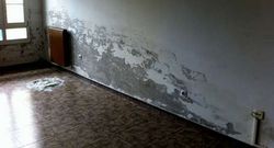 El deterioro es muy notable tanto en las habitaciones como en las escaleras interiores del inmueble.