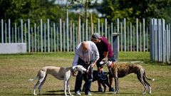 El parque canino de Eir�s, en A Coru�a, se estren� el pasado mes de junio