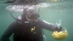 Los buceadores celebran desde el 2002 las campanadas en el mar