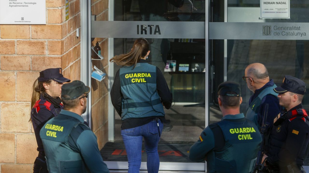 Los primeros análisis descartan que la peste porcina de Cataluña saliese de un laboratorio