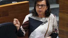 La consejera de Desarrollo Rural y Recursos Naturales, Mar�a Jes�s �lvarez, en la Junta General.La consejera de Desarrollo Rural y Recursos Naturales, Mar�a Jes�s �lvarez, en la Junta General 