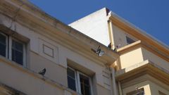 PALOMAS EDIFICIO C. CORDELER�A