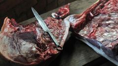 Matanza tradicional del cerdo