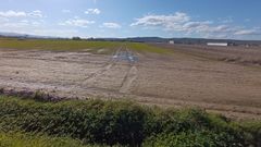 Imagen tomada ayer en un campo al que no se puede acceder debido al agua