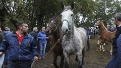 As� es el San Marti�o de Teo