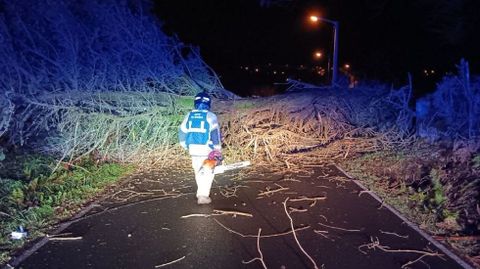 Bombero de Ferrol en la zona de A Pallota, Santa Ic�a, donde cay� un �rbol de noche obstruyendo la carretera.