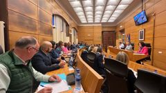 Pleno del Ayuntamiento de Siero