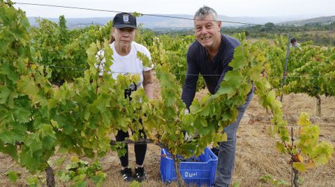 La bodega Couto Mixto abrió la vendimia en la D.O. Monterrei.