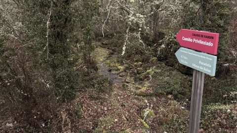 Camino privilexiado, en Calvos de Randn