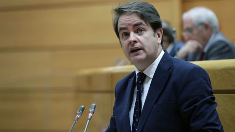 Roberto Berm�dez de Castro, durante su comparecencia en el Senado