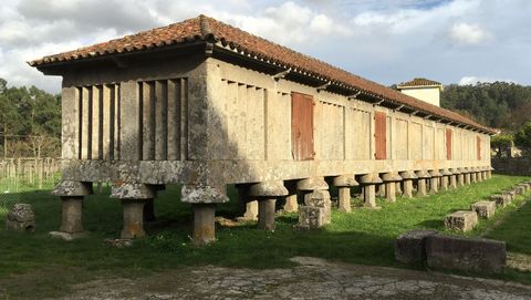 H�rreo con tres pies frontales en Poio