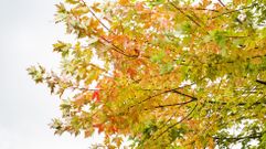 Oto�o en la Costa da Morte: �emp�pate de �l en im�genes!