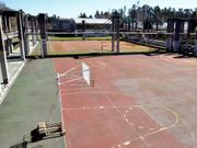 La concesionaria construir� pistas de p�del tras la piscina. 
