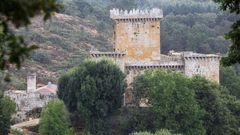 Castillo de Pambre