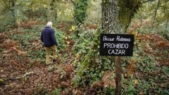 Bosque de Ridimoas.