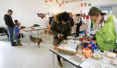 Actividades de Sama�n en el casco hist�rico (foto superior) y Belv�s.